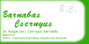 barnabas csernyus business card